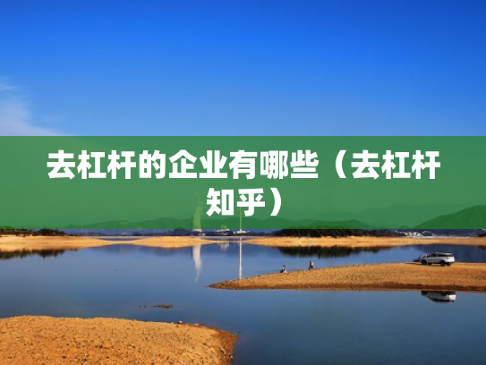 去杠杆的企业有哪些（去杠杆知乎）