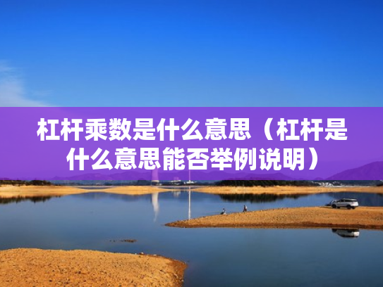 杠杆乘数是什么意思（杠杆是什么意思能否举例说明）