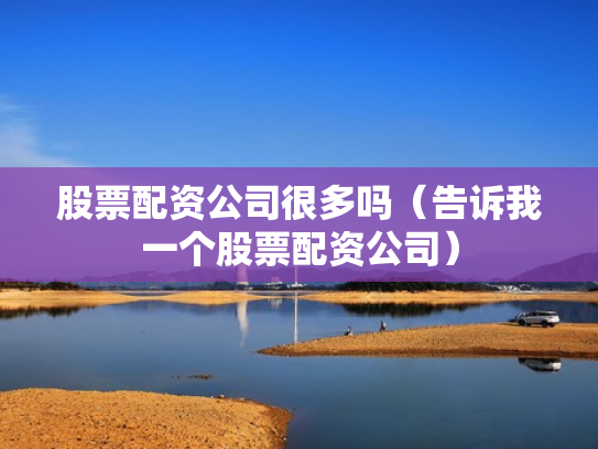 股票配资公司很多吗（告诉我一个股票配资公司）
