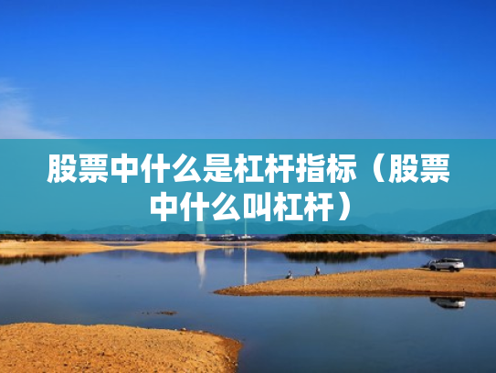 股票中什么是杠杆指标（股票中什么叫杠杆）