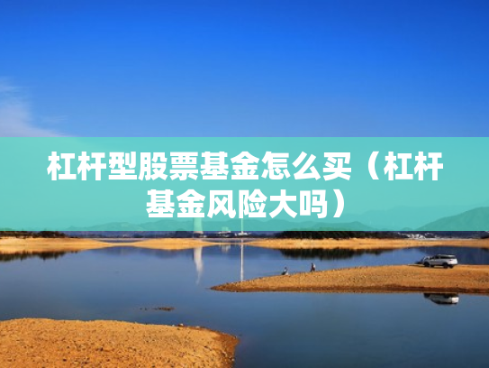 杠杆型股票基金怎么买（杠杆基金风险大吗）