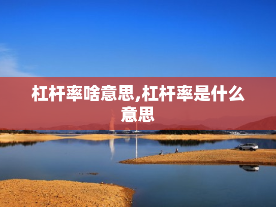 杠杆率啥意思,杠杆率是什么意思