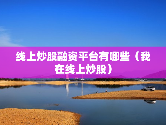 线上炒股融资平台有哪些（我在线上炒股）