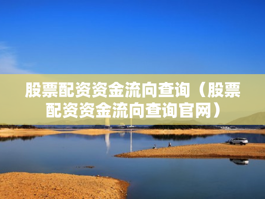 股票配资资金流向查询（股票配资资金流向查询官网）