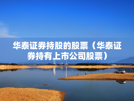 华泰证券持股的股票（华泰证券持有上市公司股票）