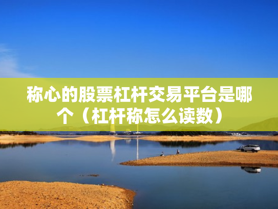 称心的股票杠杆交易平台是哪个（杠杆称怎么读数）