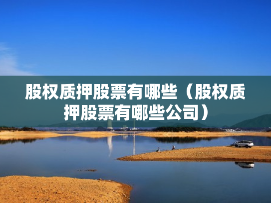 股权质押股票有哪些（股权质押股票有哪些公司）