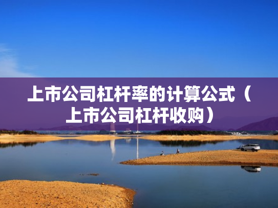 上市公司杠杆率的计算公式（上市公司杠杆收购）
