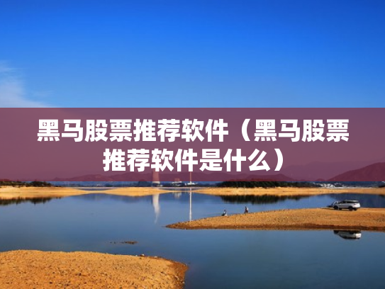 黑马股票推荐软件（黑马股票推荐软件是什么）
