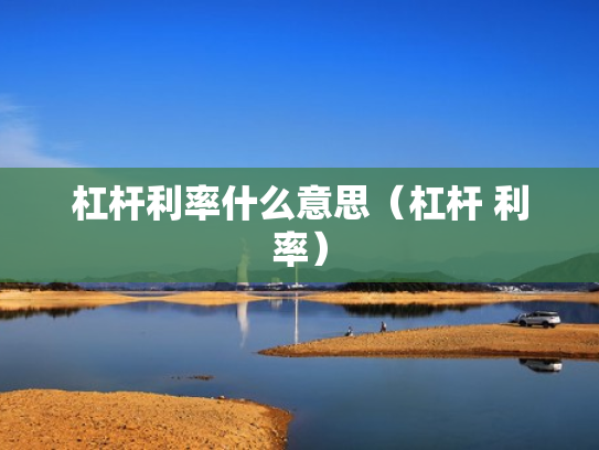 杠杆利率什么意思（杠杆 利率）