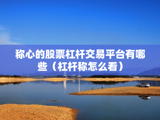 称心的股票杠杆交易平台有哪些（杠杆称怎么看）