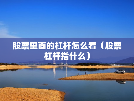 股票里面的杠杆怎么看（股票杠杆指什么）