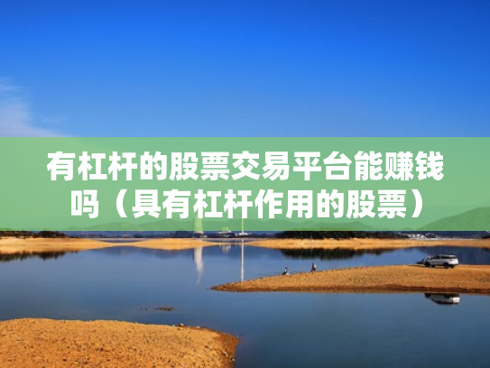 有杠杆的股票交易平台能赚钱吗（具有杠杆作用的股票）