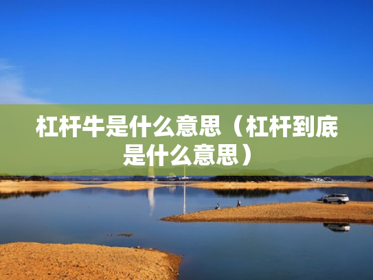 杠杆牛是什么意思（杠杆到底是什么意思）