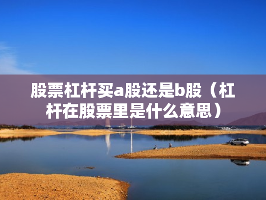 股票杠杆买a股还是b股（杠杆在股票里是什么意思）