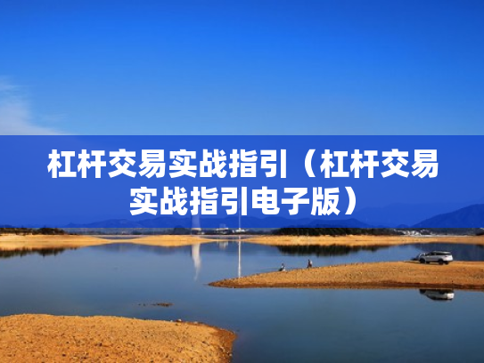 杠杆交易实战指引（杠杆交易实战指引电子版）