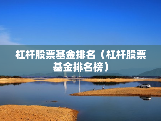 杠杆股票基金排名（杠杆股票基金排名榜）