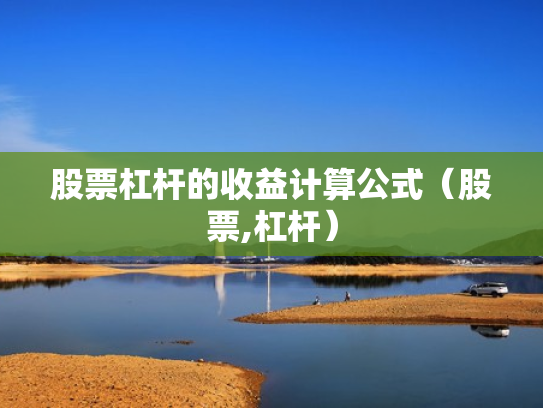 股票杠杆的收益计算公式（股票,杠杆）
