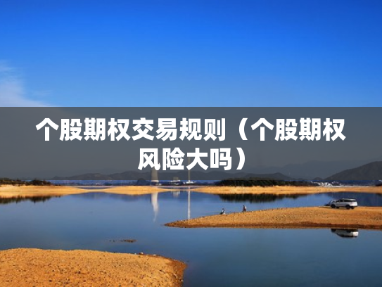 个股期权交易规则（个股期权风险大吗）