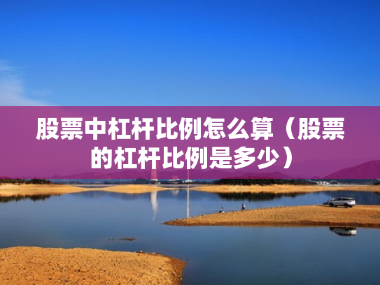 股票中杠杆比例怎么算（股票的杠杆比例是多少）
