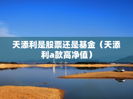 天添利是股票还是基金（天添利a款高净值）