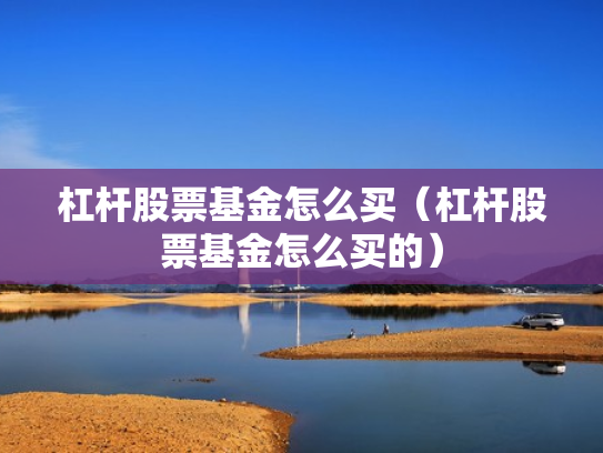 杠杆股票基金怎么买（杠杆股票基金怎么买的）