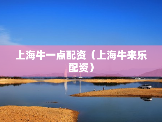 上海牛一点配资（上海牛来乐配资）