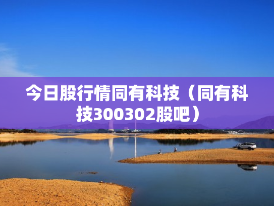 今日股行情同有科技（同有科技300302股吧）