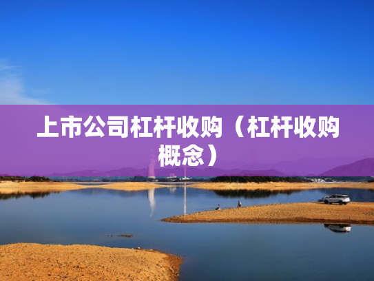 上市公司杠杆收购（杠杆收购概念）