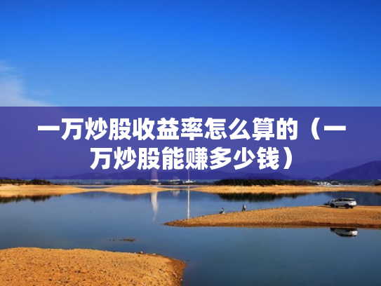 一万炒股收益率怎么算的（一万炒股能赚多少钱）