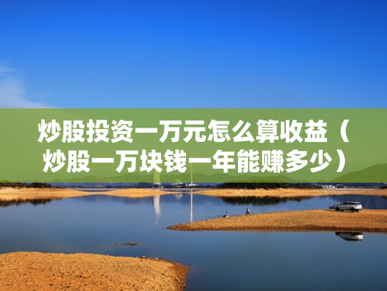 炒股投资一万元怎么算收益（炒股一万块钱一年能赚多少）