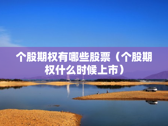 个股期权有哪些股票（个股期权什么时候上市）