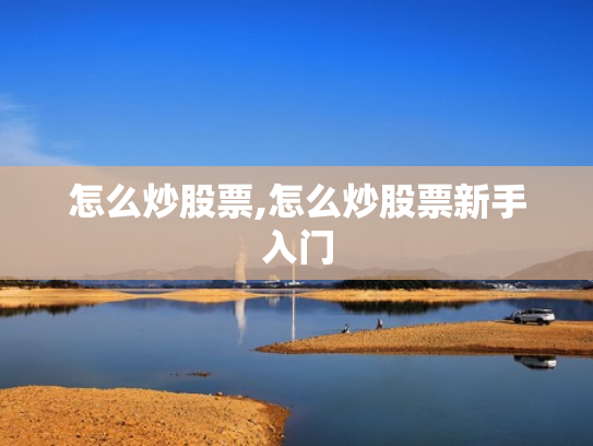 怎么炒股票,怎么炒股票新手入门