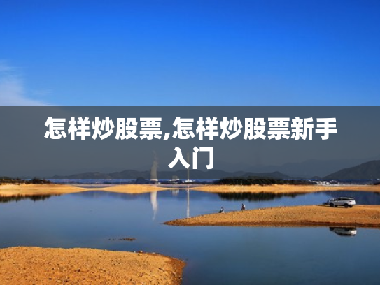 怎样炒股票,怎样炒股票新手入门