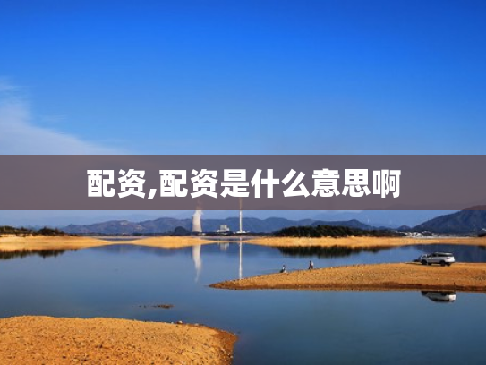配资,配资是什么意思啊