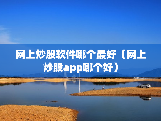 网上炒股软件哪个最好（网上炒股app哪个好）