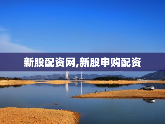 新股配资网,新股申购配资