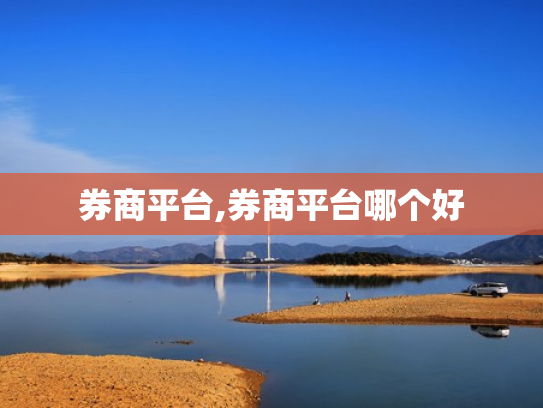 券商平台,券商平台哪个好
