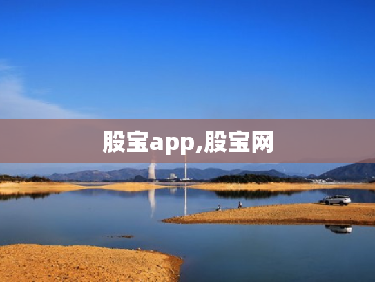 股宝app,股宝网