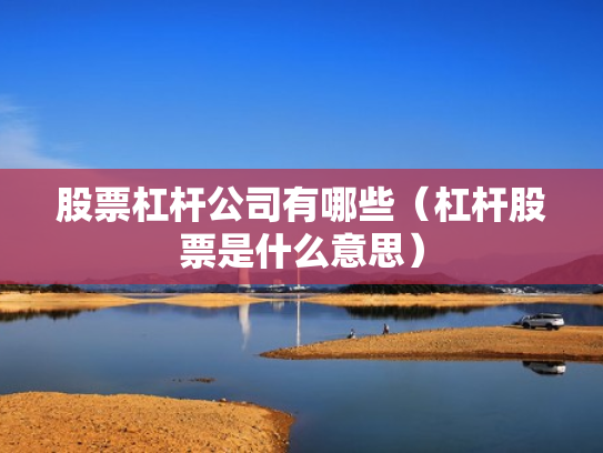 股票杠杆公司有哪些（杠杆股票是什么意思）