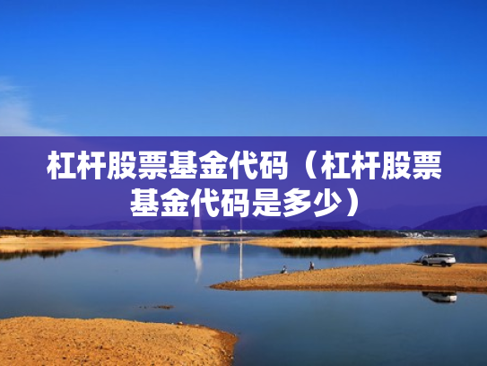 杠杆股票基金代码（杠杆股票基金代码是多少）