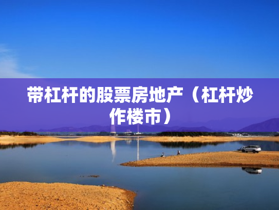 带杠杆的股票房地产（杠杆炒作楼市）