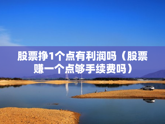 股票挣1个点有利润吗（股票赚一个点够手续费吗）