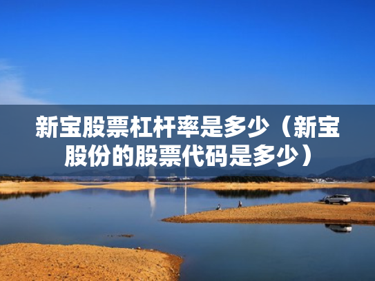 新宝股票杠杆率是多少（新宝股份的股票代码是多少）
