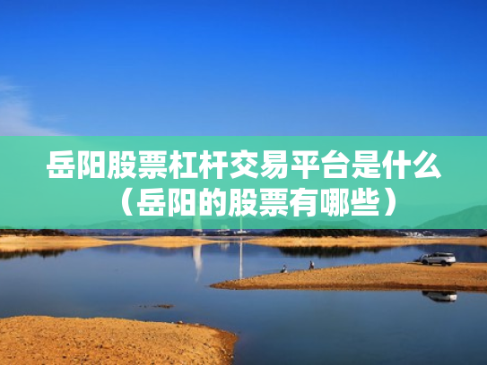 岳阳股票杠杆交易平台是什么（岳阳的股票有哪些）