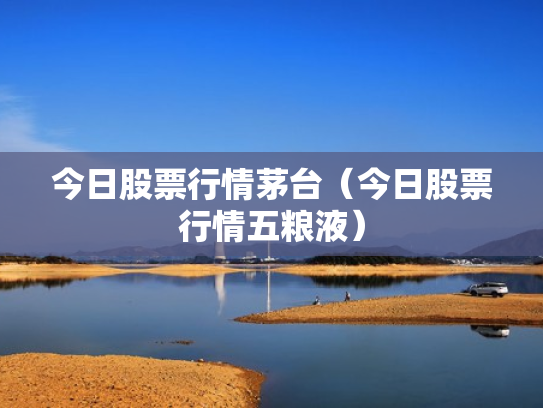 今日股票行情茅台（今日股票行情五粮液）