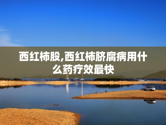 西红柿股,西红柿脐腐病用什么药疗效最快