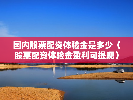 国内股票配资体验金是多少（股票配资体验金盈利可提现）