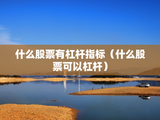 什么股票有杠杆指标（什么股票可以杠杆）
