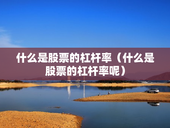 什么是股票的杠杆率（什么是股票的杠杆率呢）
